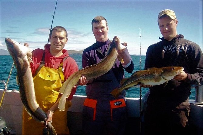 Private Trip: Connemara Deep Sea Angling Day Trip From Cleggan - Inclusions