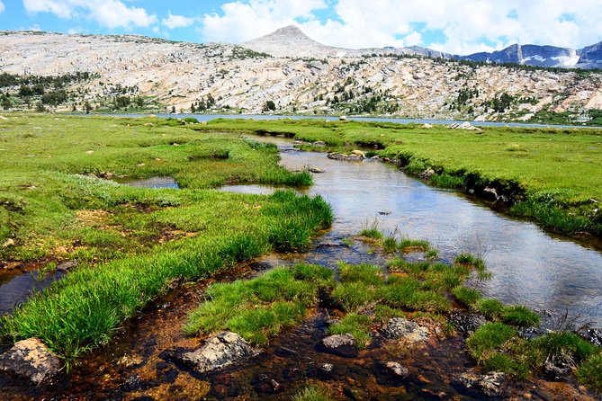Private Tuolumne Meadows Hiking Tour - Tour Overview and Details
