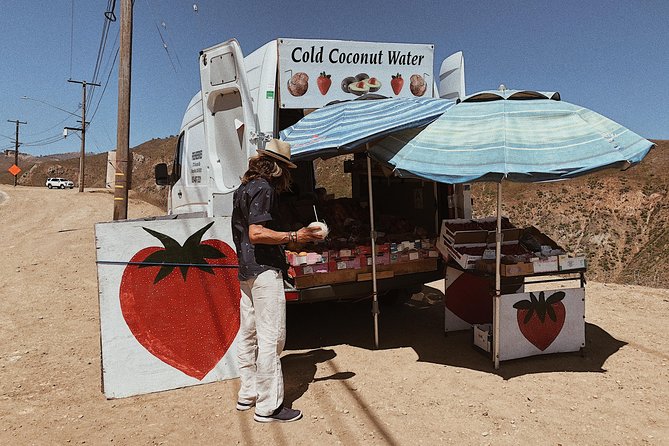 Private Vintage VW Hippie Tour to Malibu With Wine Tasting - Tour Highlights