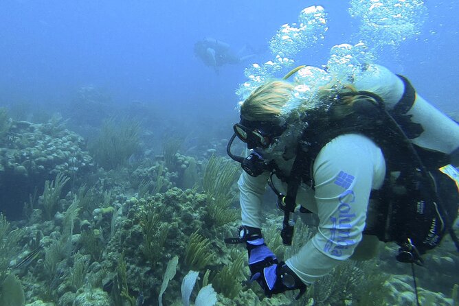 Private VIP Morning or Afternoon Snorkeling Tour From Fajardo - Inclusions