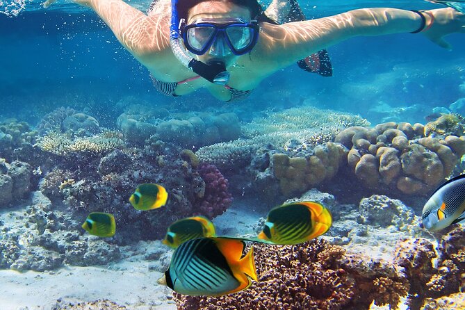 Private Waikiki Sail and Snorkel Adventure on 50 Luxury Yacht - Pricing and Booking