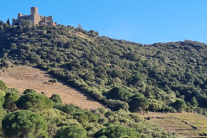 Private Walk In The Vineyards Of Collioure With Wine Tasting - Tour Highlights
