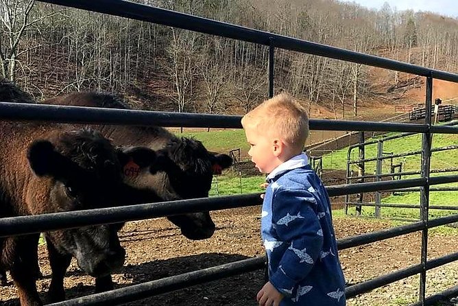 Private Walking Tour of a Real Working Cattle Ranch - Tour Details and Schedule