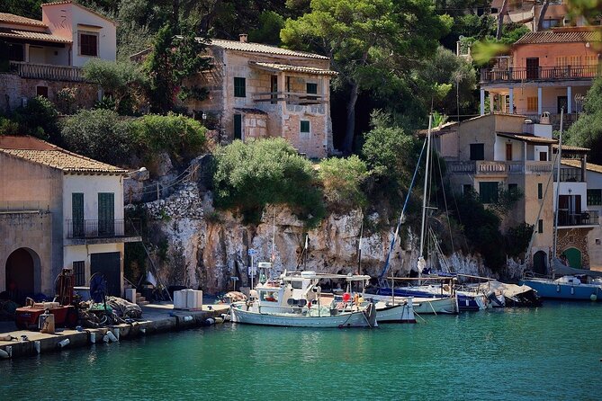 Private Walking Tour of Alcúdia With an Official Guide - Benefits of a Private Guide