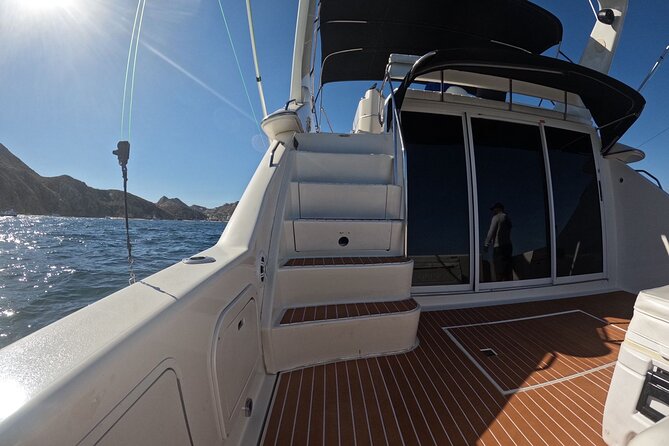 PRIVATE Whale Watching Tour and Snorkeling Tour Cabo San Lucas - Pricing and Booking Details