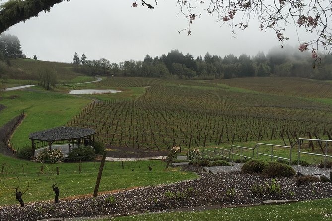Private - Willamette Valley Wine Tour From Portland (Tasting Fees Included) - Tour Details
