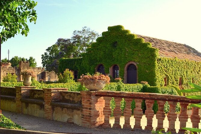 Private Wine Cellars Tour Lunch - Benefits of a Private Wine Cellars Tour