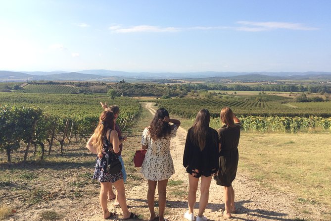 Private Wine Day Tour From Carcassonne and Around. - Wine Tasting at Local Vineyards
