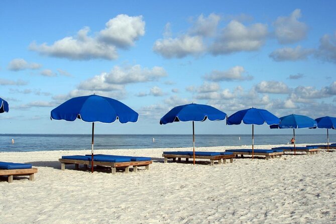Private Yacht Cruise St. Pete Beach Canals Dolphins Beach Anchor - Refreshments and Restrictions