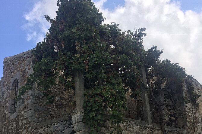 Private-Zeus Cave-WineOlive Oil Tasting-Old Traditional Villages - Reviews and Ratings