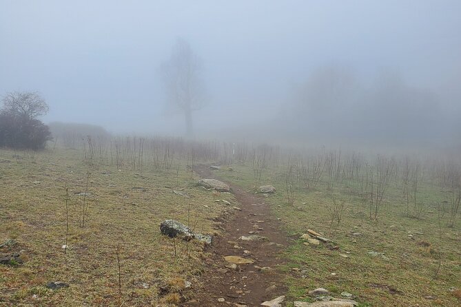 Privately Guided Full Day Hike - Overview and Experience