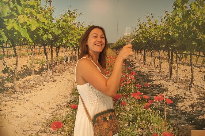 Provencal Castle, Village & Wine-Tasting Half-Day Tour From Aix - Tour Highlights