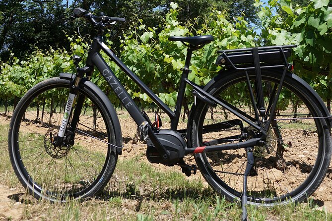 Provence and Wine Tasting by E-Bike From Bonnieux - Scenic E-Bike Tour of Provence