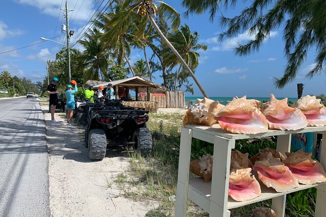 Providenciales ATV Adventure - Meeting and Pickup