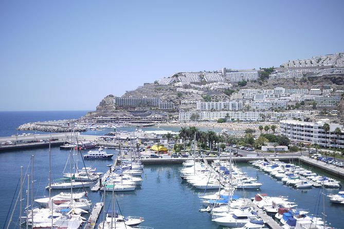 Puerto De Mogan and Canarian Market 6-Hour Guided Tour - Pricing and Booking