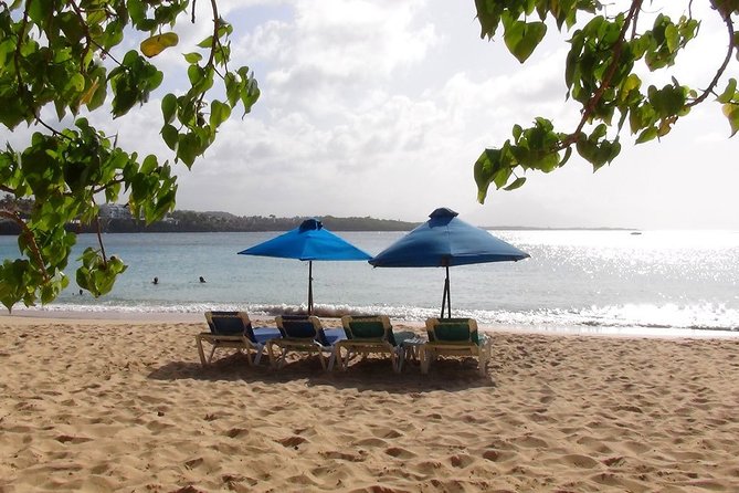 Puerto Plata Shore Excursion, Snorkeling Tour & Sosua Beach Day - Snorkeling Spots in Sosua Bay