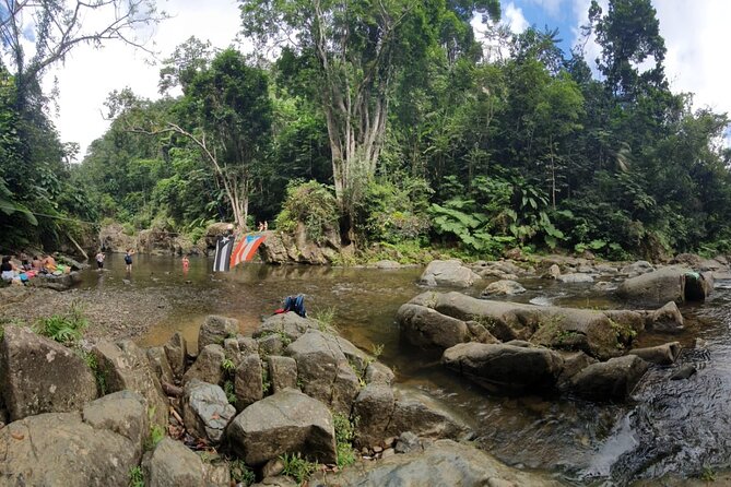 Puerto Rico: Rainforest and Beach Combo Tour  - San Juan - Tour Description and Experience
