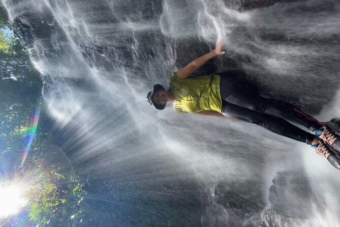 Puerto Rico: Small-Group Hiking Tour - Tour Highlights