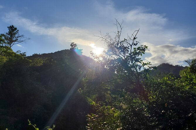Puerto Rico Tour to El Yunque Rainforest Hiking to Waterfall - Common Questions