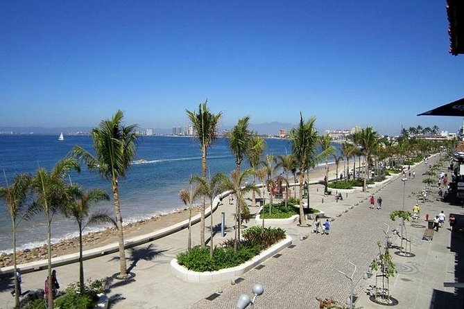 Puerto Vallarta Local-Style Walking Tour - Authentic Mexican Food Experience