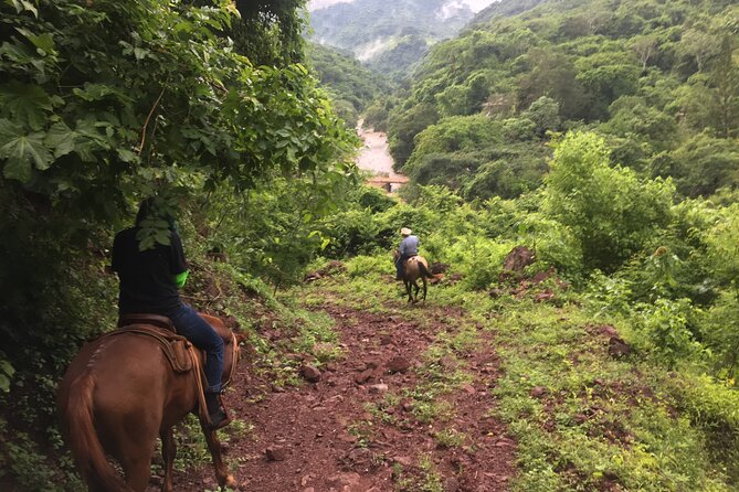 Puerto Vallarta Small-Group Horseback Riding Tour - Tour Details and Inclusions