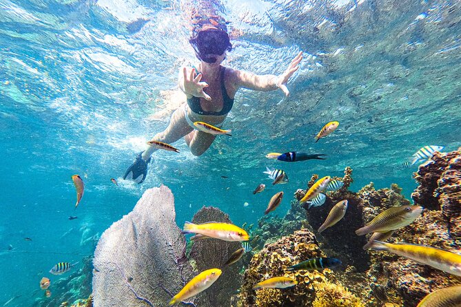 Punta Cana Private Cruise up to 10 Snorkeling & Seafood Lunch - Customizable Private Catamaran Tour