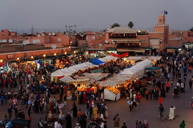 Quad Bike Tour in the Palmeraie of Marrakech - Traveler Reviews