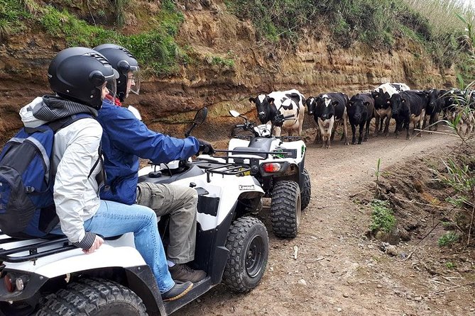 Quad Bike Tour - Sete Cidades From North Coast (Full Day) With Lunch - Tour Overview