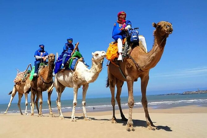Quad Biking and Camel Ride Experience - Overview of Quad Biking and Camel Ride Experience