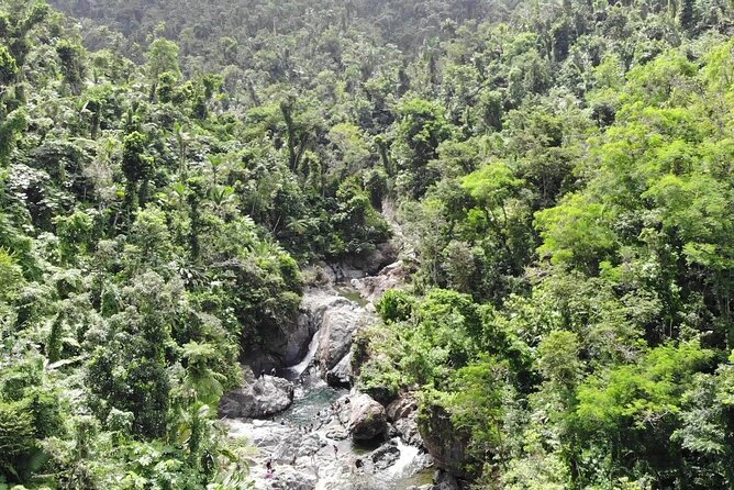 Rainforest River Nature Walk Adventure and Luquillo Beach - Reviews and Feedback