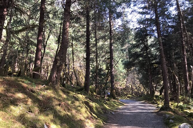 Rainforest & Waterfalls Trek - Pickup Details and Logistics