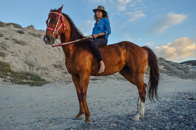 Ranch Farm Experience and Horseback Ride  - La Paz - Pricing and Booking