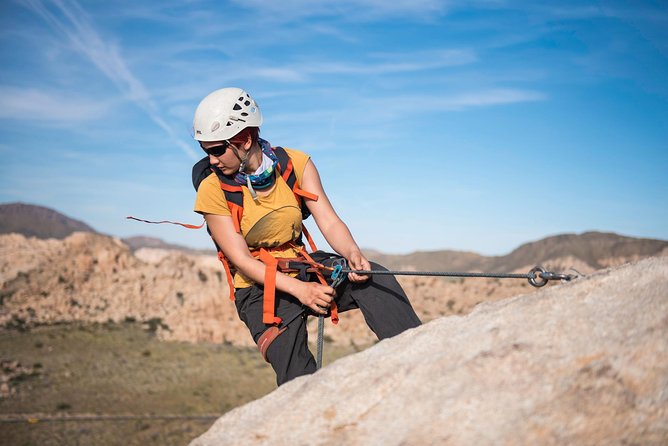 Rappelling Adventure in Joshua Tree National Park (4 Hours) - Overview of Joshua Tree National Park Climbing Routes