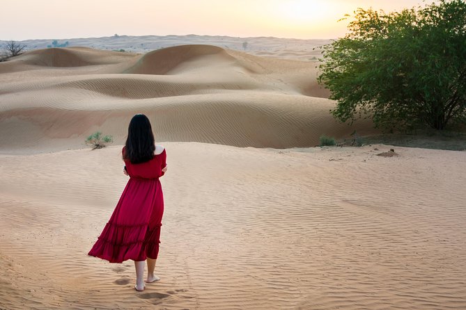 Ras Al-Khaimah: Desert Safari Fun & Adventure Trip With Dinner - Watch Sunset Over the Desert