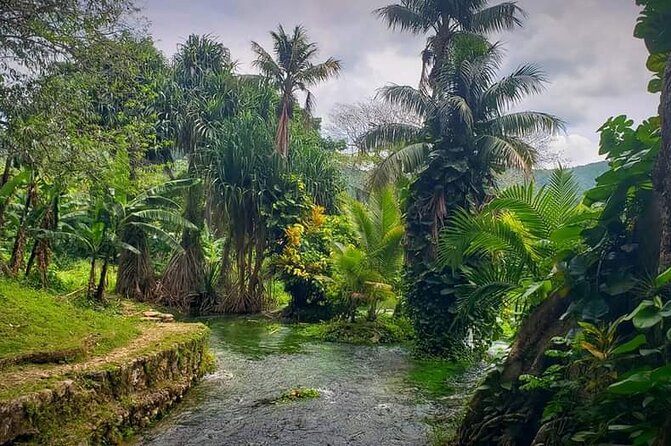 Rastasafari Cultural ATV Adventure From Negril - Overview and Details