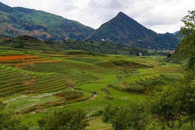 Red Dao Village Trek and Herbal Bath - Village Trek: Discovering the Red Dao Culture