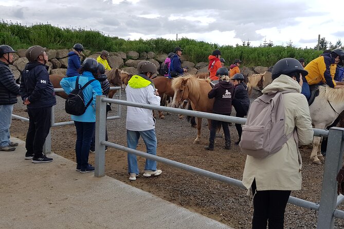 Red Lava Horse Riding Tour From Reykjavik - Pricing and Value