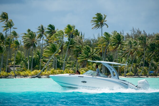 Reef Discovery Private Half Day Lagoon Tour - Pick-up/Drop-off