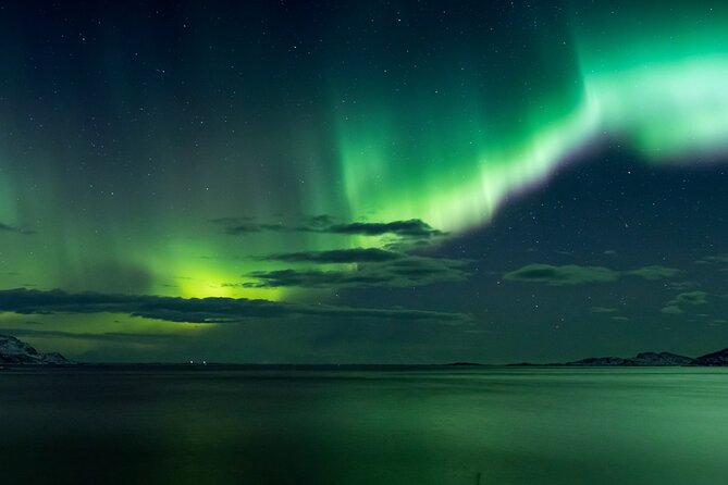 Reindeer Calf Experience From Kiruna - Enjoy a Dinner Included in the Experience