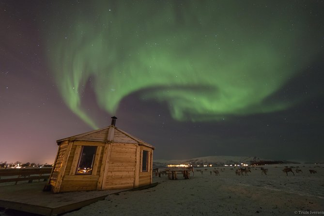 Reindeer Camp Dinner With Chance of Northern Lights in Tromso - Activities and Experiences
