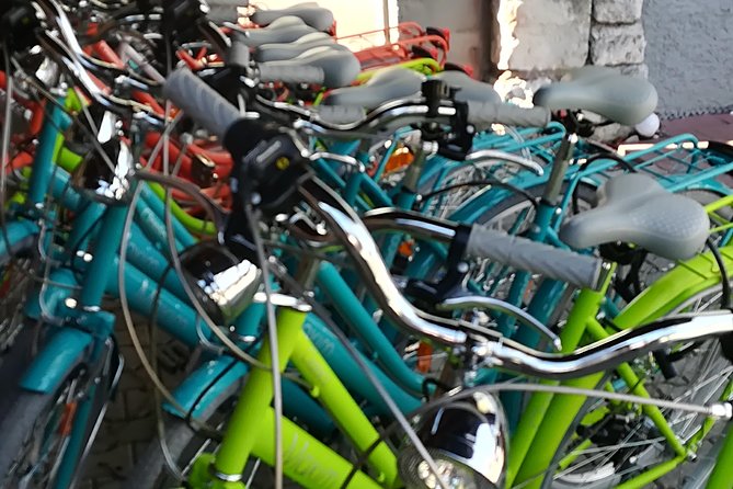 Rent a Bike From Munich to Neuschwanstein Castle - Scenic Bike Path to Neuschwanstein Castle