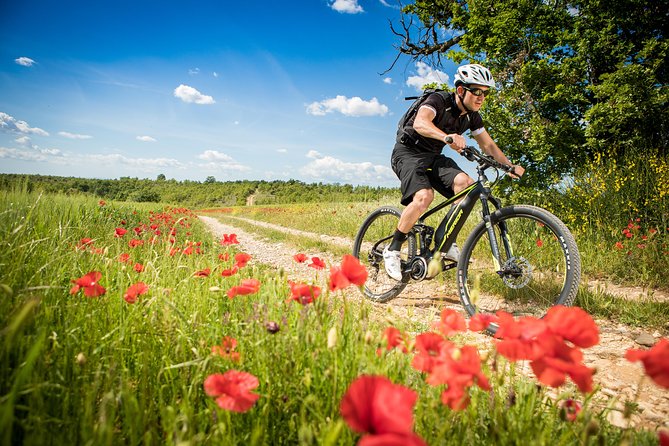 Rent of E-Bikes (Electric Bicycles) - Insurance Coverage