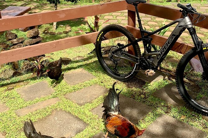 Rental of an Electric Mountain Bike on the Tahiti Peninsula - Additional Information for Travelers