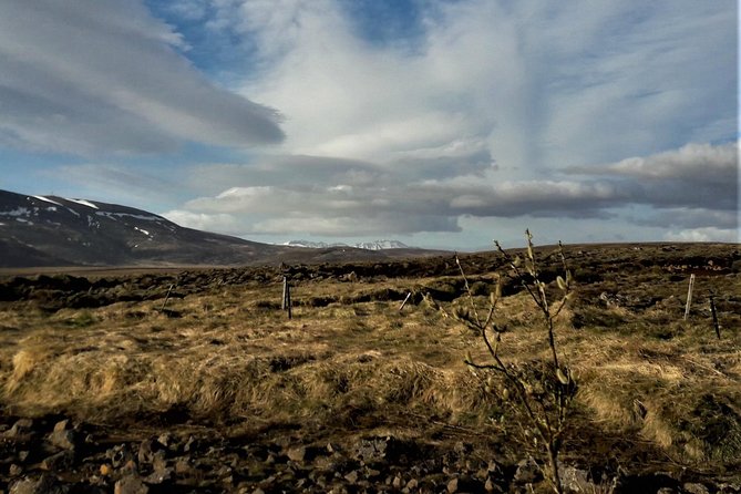 Reykjanes Peninsula- Geopark and Much More. Private Tour - Tour Details and Pricing