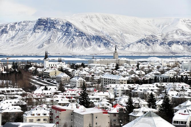 Reykjavik City Walking Tour - Meeting Point and Group Introduction