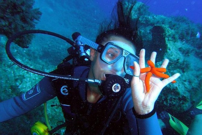 Rhodes Scuba Diving Experience - Pricing and Booking