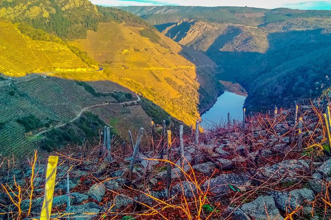 Ribeira Sacra, "Heroic Wines" Private Tour From Santiago - Additional Information