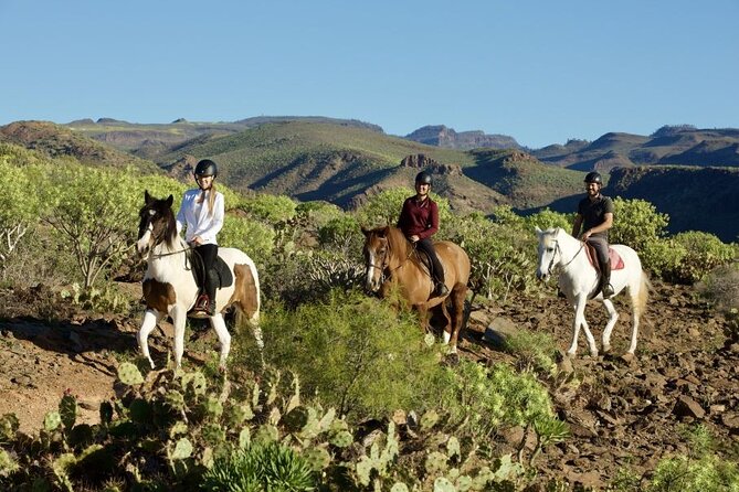 Riding 2 Hours Along the Maspalomas Route - Reviews and Ratings