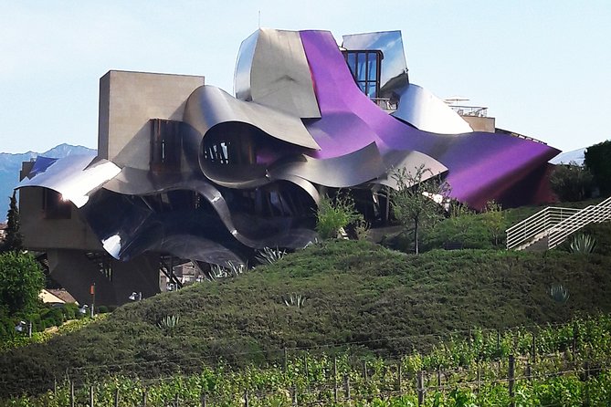 Riojas Top Wines Tasting Private Tour - Wine Tasting Experience