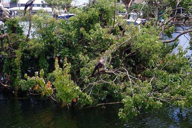 River Cruise Tour With Manatee Viewing - Tour Duration and Maximum Capacity